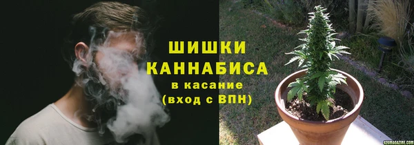 кокс Арсеньев