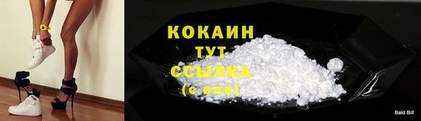 кокс Арсеньев