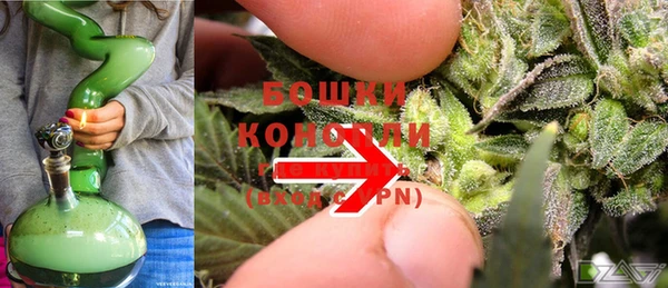 кокс Арсеньев