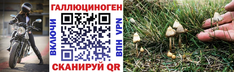 Псилоцибиновые грибы мицелий  дарк нет состав  Удачный 